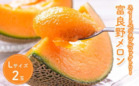 【2026年7月中旬～発送】北海道 富良野 メロン Lサイズ 1.3kg以上×2玉 (スイートベジタブルファクトリー) メロン フルーツ 果物 新鮮 甘い 贈り物 ギフト 道産 ジューシー おやつ ふらの ブランド 夏