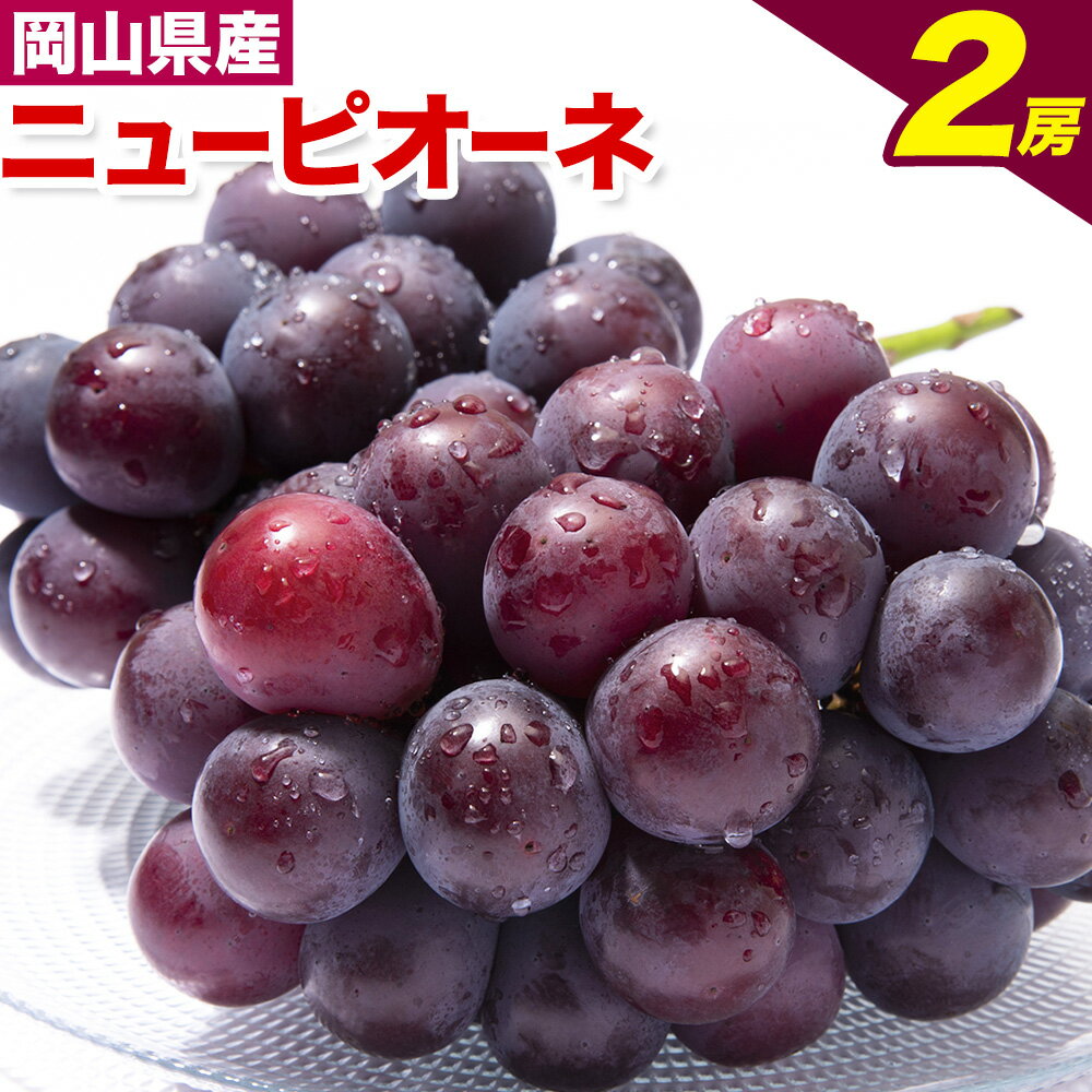 【ふるさと納税】【先行予約】ニューピオーネ 2房 480g以上 加温栽培 有限会社ホーティカルチャー神島《2026年7月中旬-8月中旬頃出荷》岡山県 浅口市 ぶどう ピオーネ フルーツ 旬 果物 国産 岡山県産 送料無料 冷蔵【配送不可地域あり】