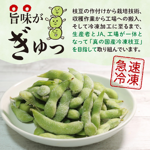 隔月定期便 枝豆 極 冷凍 1回 300g×3袋 計 2.7kg 枝豆