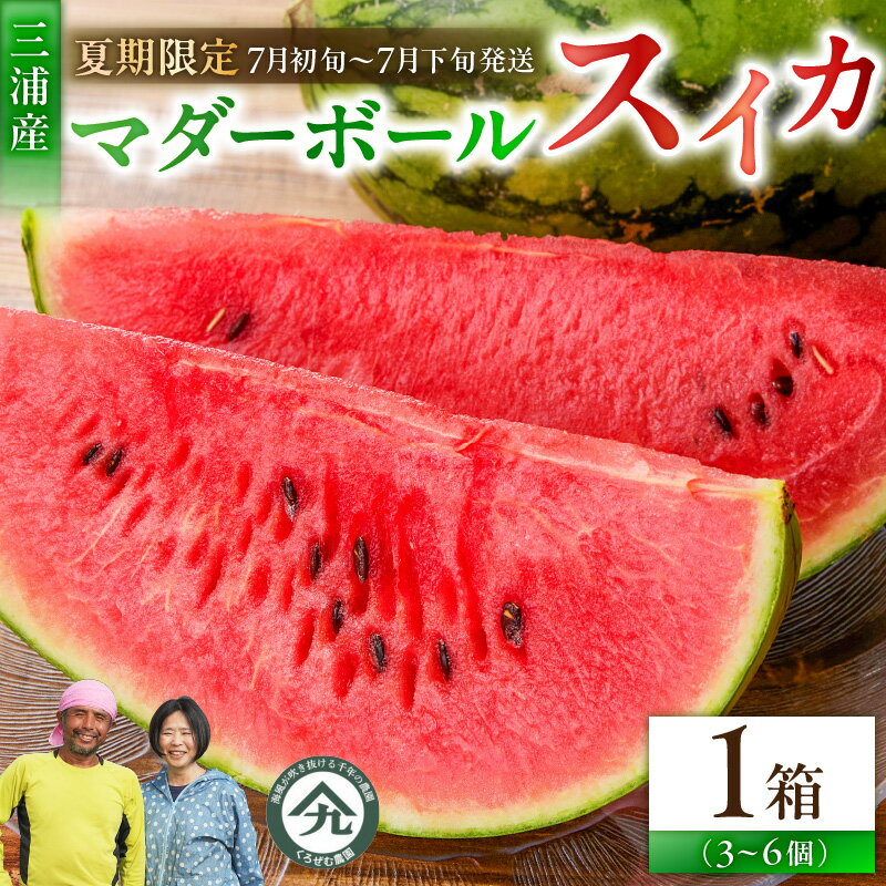 【ふるさと納税】 マダーボールスイカ 3個 〜 6個 スイカ すいか 西瓜 フルーツ 果物 果実 小玉 ジューシー 甘い 数量 期間 限定 一人サイズ おいしい デザート みずみずしい 高糖度 国産 旬の果物 贈答 くろぜむ農園 神奈川 三浦市 おすすめ ランキング プレゼント ギフト