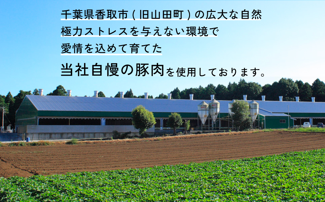【訳あり】千葉県香取市産三元豚　粗挽きハーブフランクフルト 20本セット(総重量1.2kg)  KTRCH001 / 三元豚 ハーブ フランクフルト 粗挽き 粗挽 ソーセージ あらびき 国産 豚肉 お