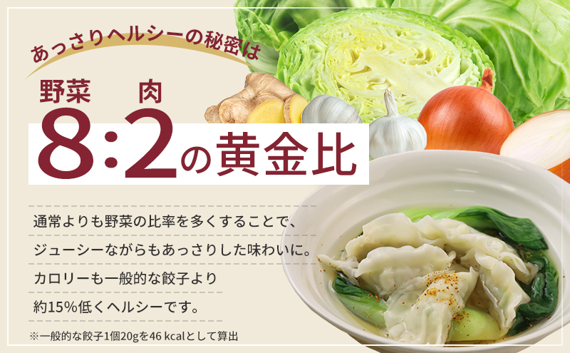 【定期便12回】浜松餃子 60個 (20個×3袋) セット 詰め合わせ 