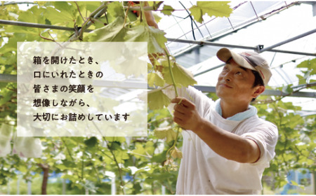 【きよとうファーム】あたご梨 上級品 2玉入(1.0kg級/玉) (岡山県産) 【KF-C004-01】