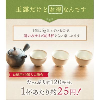 ふるさと納税 新宮町 八女星野玉露ティーバッグ5g×50個.AB527 |  | 03