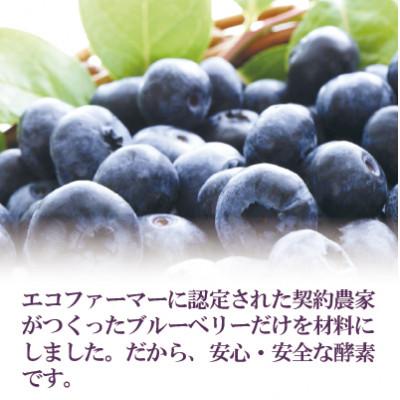 ふるさと納税 いすみ市 まるごとブルーベリー酵素 |  | 02