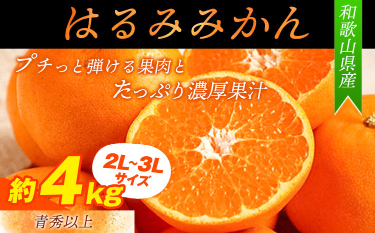 
            青秀以上 紀州有田産 はるみ 約4kg（2L～3Lサイズおまかせ）厳選館《2026年1月下旬-2月中旬頃出荷》和歌山県 日高川町 フルーツ 果物 はるみ 
          