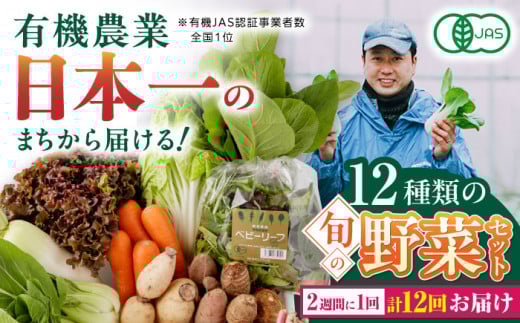 【全12回隔週定期便】有機野菜 12種セット 野菜 詰め合わせ 熊本県産 山都町産 産地直送 オーガニック【株式会社 肥後やまと】[YAF006]