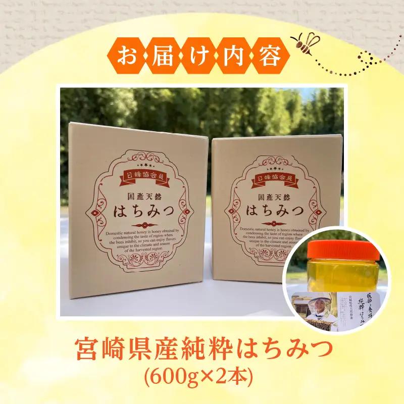 【数量限定】宮崎県産純粋はちみつ(600g×2本) 国産 蜂蜜 ハチミツ はちみつ 600g 2本 天然 純粋 純粋蜂蜜 純粋はちみつ 天然蜂蜜 ミツバチ 蜜蜂 パン ヨーグルト 紅茶 グルメ お取り