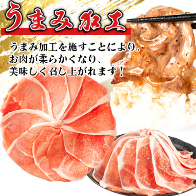 家計応援!国産 豚肉 計3kg!(300g×10P) 豚 切り落とし 小分けで便利【配送不可地域：離島】【1658904】