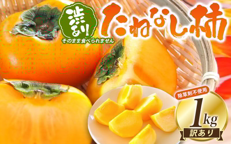 
                  【訳あり・ご家庭用】柿農園「渋柿隊®」が直送 たねなし柿「渋あり」訳あり 約1kg【2026年9月下旬～11月初旬頃順次発送】
                