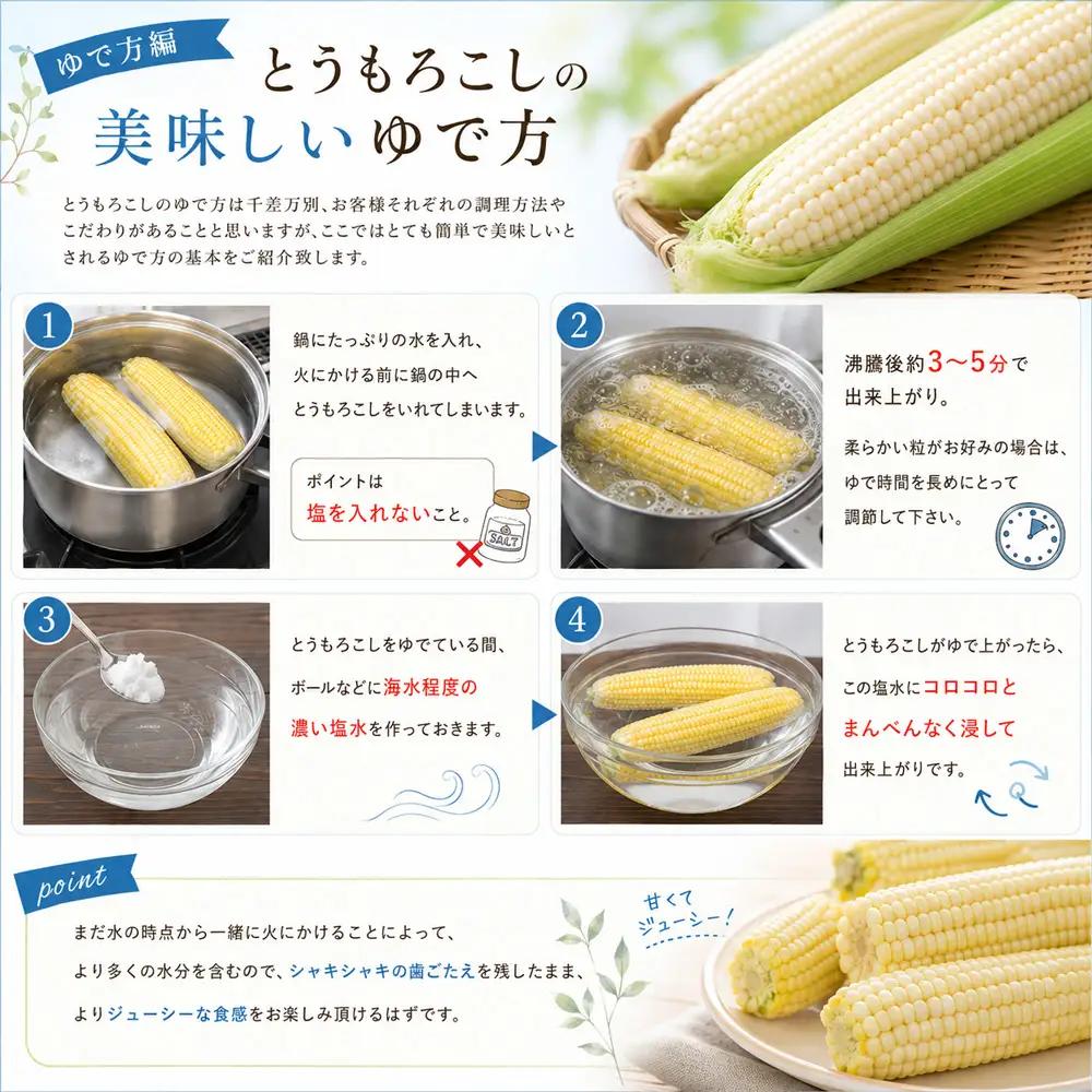 とうもろこし 【先行予約】ほしつぶコーン 12本 とうもろこし 北海道 スイートコーン