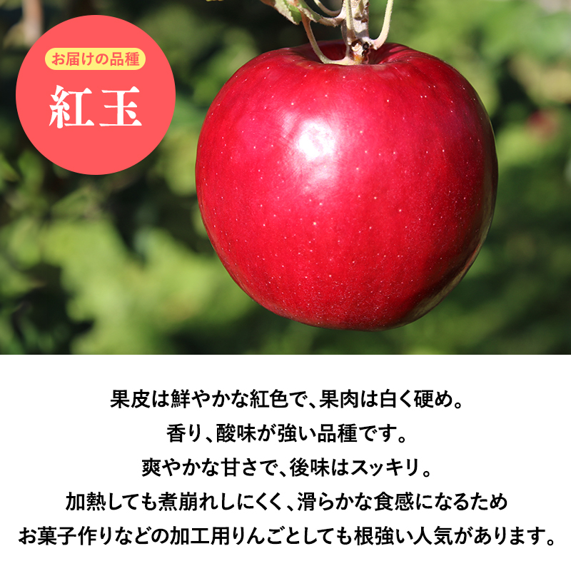 １０月発送　【訳あり】家庭用紅玉10ｋｇ　【そと川りんご園・１０月・青森県産・平川市・りんご・紅玉・10ｋｇ・訳あり・家庭用】