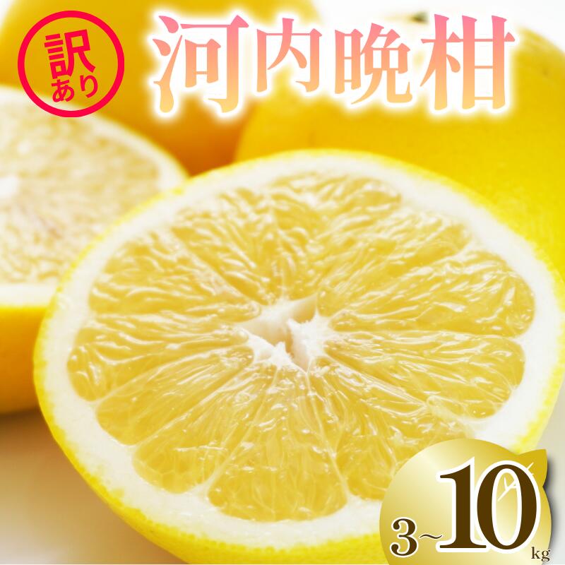 【ふるさと納税】 2026年 先行予約 選べる 容量 訳あり 河内晩柑 3kg 5kg 10kg M から 3L サイズミックス 樹齢 20年 以上 古木 愛南ゴールド 和製 グレープフルーツ 家庭用 愛媛 みかん 果物 フルーツ デザート ジュース ゼリー 特産品 愛媛県 愛南町 清家ばんかんビレッジ