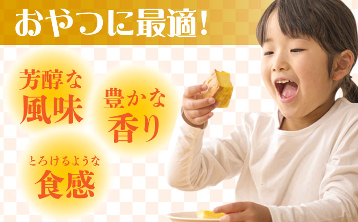 【ANA限定】訳あり カステラ 切り落とし 計2.5kg（250g×10パック） / かすてら 切り落としカステラ 長崎カステラ お菓子 スイーツ ギフト/ 南島原市 / ミカド観光センター [SBF