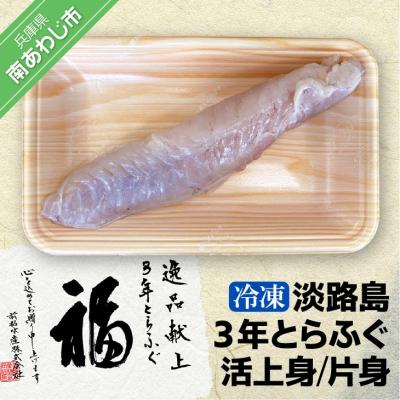 ふるさと納税 南あわじ市 【冷凍】淡路島3年とらふぐ(活上身/片身)