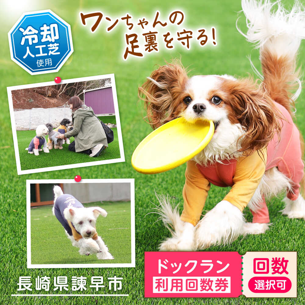 【ふるさと納税】ドッグラン利用券(6回分) / ドッグラン 犬 施設 利用券 利用チケット 回数券 ペット / 諫早市 / 株式会社美泉[AHAP041]