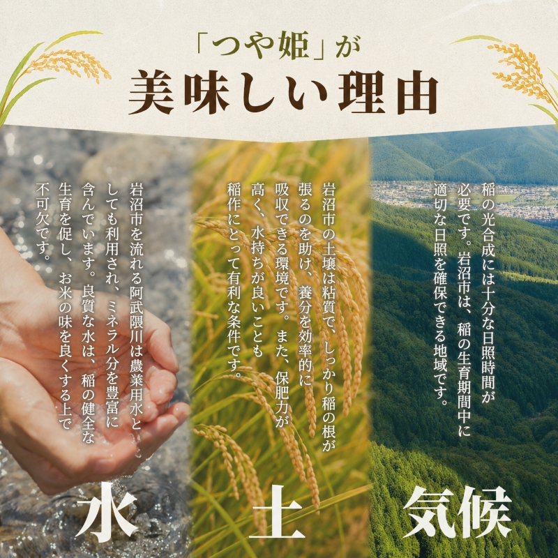 【令和8年産 】【在庫限定】 【食味鑑定士厳選】 無洗米 定期便 12ヶ月 つや姫 10kg (5kg 2袋) 新米 お米 国産米 米 ご飯 おにぎり お弁当 岩沼産 東北 宮城県産 宮城米
