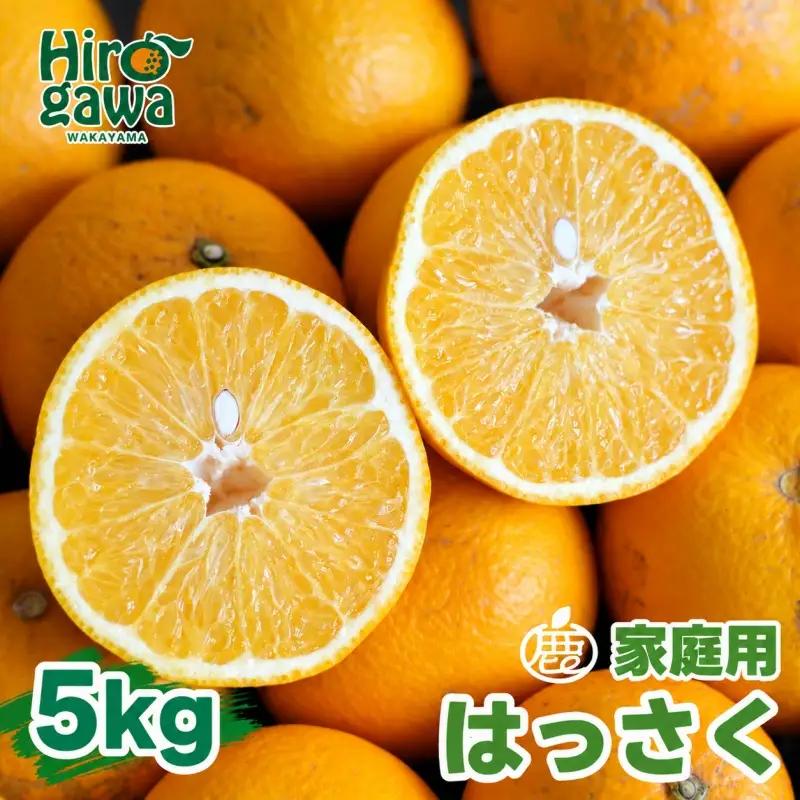 はっさく 5kg+250g（痛み補償分） 家庭用 光センサー / 八朔 訳あり 甘い 和歌山 有田 柑橘 ※1月上旬〜4月下旬頃に順次発送予定 ※北海道・沖縄・離島への配送不可 【ikd021-c-5B】
