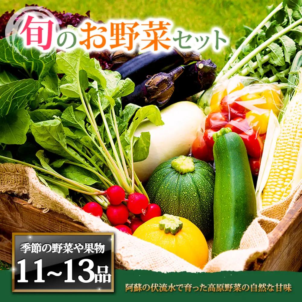 ＜畑から直送＞季節のお野菜セット XLサイズ（11～13品）