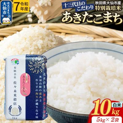 ふるさと納税 大仙市 米 あきたこまち【白米】10kg特別栽培米 令和7年産|22_skb-011001