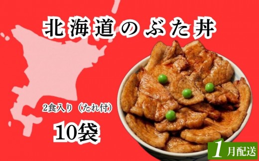 【2027年1月配送】ホクレン 北海道のぶた丼 （2食入り）250g×10袋 北海道産 豚肉使用 産地直送 冷凍