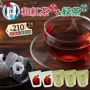 【ふるさと納税】 紅茶 和紅茶 静岡茶 緑茶 静岡 国産 ティーバッグ 2種類 セット 5袋 FORIVORA a18-050