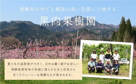 【ジュース】黒内果樹園の桃ジュース 1000ml×3本セット