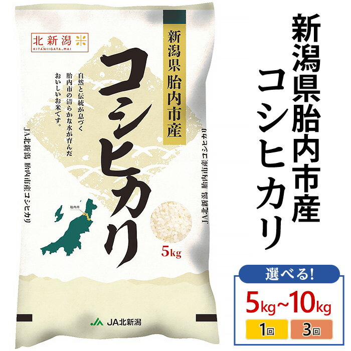 【ふるさと納税】米 定期便 5kg 10kg 新潟 コシヒカリ 令和7年産 精米 白米 お米 選べる 1回 3回 3ヶ月 新潟こしひかり 新潟県胎内市産コシヒカリ（JA北新潟）