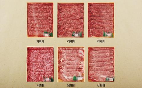 [B162p］《定期便》長崎和牛スライスお届け便(6回)