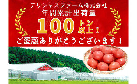 デリシャスファームのトマト(麗月)2キロ箱