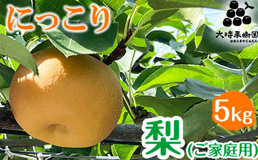 【先行予約】梨 にっこり 5kg箱（家庭用）　※2025年10月中旬頃より順次発送予定