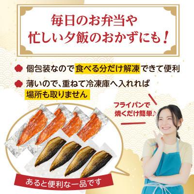 ふるさと納税 飯塚市 食べやすい!個包装で便利【骨取り】さば使用さばみりん干し(九州風の甘め味付)20枚入 家庭用 飯塚市 |  | 02