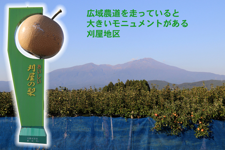 酒田産刈屋梨　和梨【豊水】約3kg(6～8玉入り) SA2711