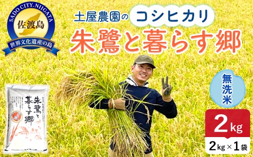 佐渡島産コシヒカリ 無洗米 2kg 令和7年産 特別栽培米 | 新潟県産コシヒカリ 新潟産コシヒカリ 佐渡産コシヒカリ 新潟県産こしひかり 佐渡産こしひかり お米 米 こしひかり 無洗米 むせんまい 精米 おこめ コメ 2キロ にいがた さど 新潟県 佐渡市