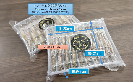 エビ【養殖場から直送】活き〆急速冷凍 金武町産 シロアシエビ　Sサイズ （バナメイエビ） 海老