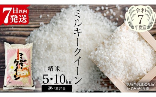 
                  ＼ 最短7営業日以内に発送 ／ 【令和7年産】 ミルキークイーン 精米 5kg 10kg（茨城県共通返礼品 かすみがうら市産） 米 ごはん もっちり 甘い コメ お米 白米 銘柄米 スピード 最短 7日 すぐ届く すぐ発送 [EX015sa00]
                