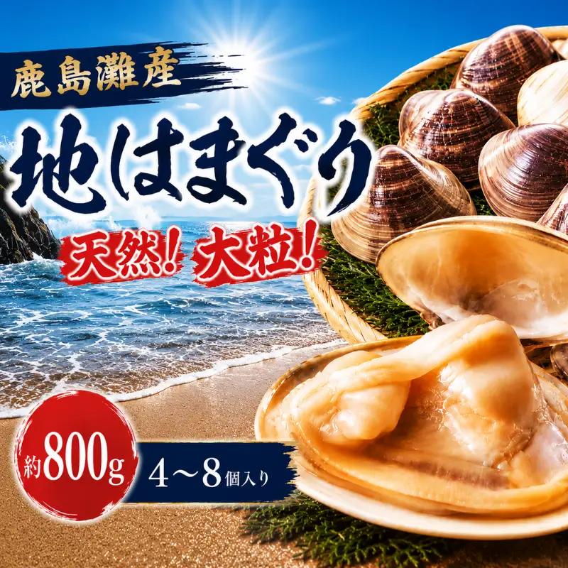 【 はまぐり 】 約800g 4～8個 大粒 はまぐり