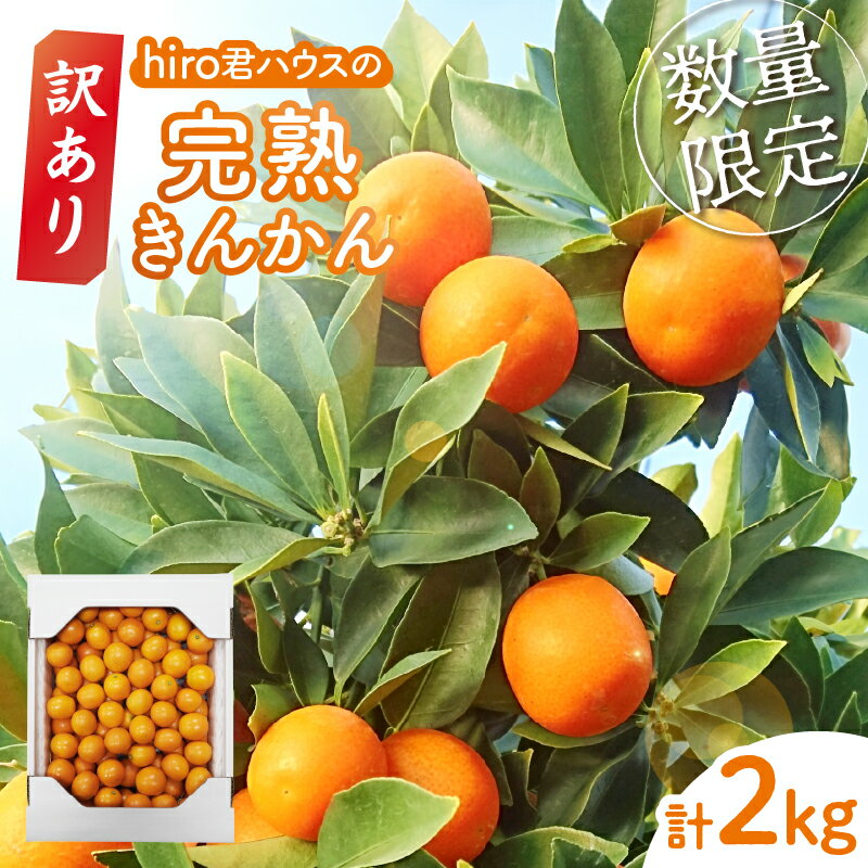 【ふるさと納税】 先行予約 数量限定 訳あり hiro君ハウスの 完熟きんかん 計2kg 期間限定 きんかん 金柑 フルーツ 果物 柑橘 食品 お菓子 デザート おやつ 家庭用 不揃い 産地直送 国産 おすそ分け ビタミンC 甘露煮 ジャム サラダ おすすめ 宮崎県 都農町 送料無料