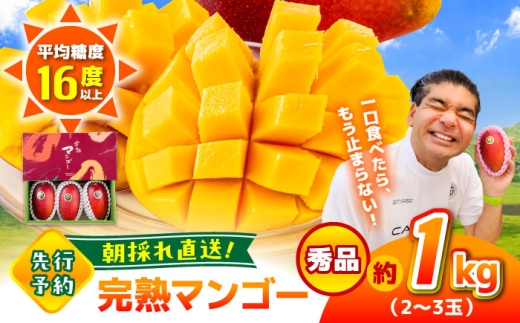 【2026年発送分 先行予約】秀品 菊池マンゴー約1kg（2〜3玉） L〜3Lサイズ まんごー mango 果物 フルーツ アーウィン くだもの 旬 期間限定 季節限定 スイーツ 国産  【友枝マンゴー農園】[AYDF003]