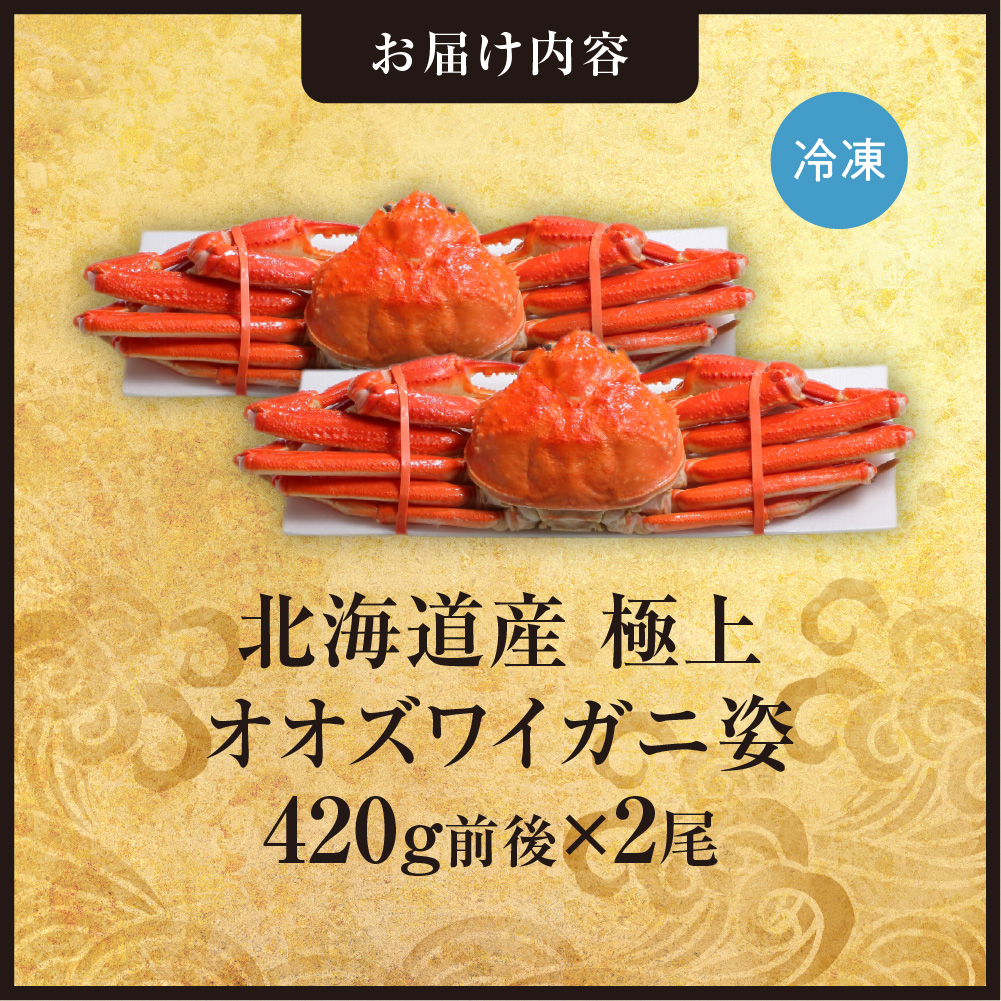 北海道産極上オオズワイガニ姿　420g前後×2尾セット