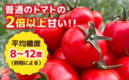 トマト フルティカ 2kg (1kg×2箱) 糸島市 / かわぞえ農園 [AAM006] トマト フルーツトマト