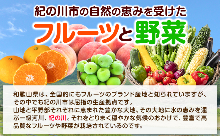 【6ヶ月定期便】紀の川市の恵み 旬のフルーツ＆野菜セット 計8~10品《お申込み月翌月から出荷開始》和歌山県 紀の川市 フルーツ 果物 野菜 セット 桃 梅 みかん 新玉ねぎ なす トマト キャベツ---wfn_cvgs1tei_23_75000_mo6num1---