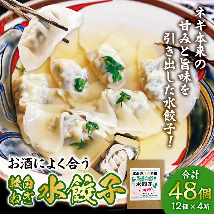 【ふるさと納税】【食感と昆布だしにこだわり】 お酒によく合う軟白ねぎ水餃子 48個(12個×4箱) ※沖縄・離島への配送不可