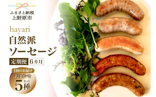 【6ヶ月定期便】hayariの自然派ソーセージおまかせ５種セット