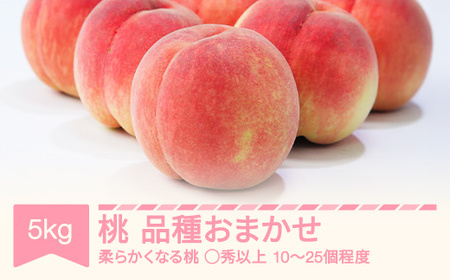 【先行予約】白桃 品種おまかせ ◯秀品以上 5kg 令和7年産 2025年産 ※沖縄・離島への配送不可 sb-mohts5
