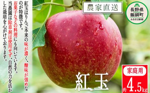 りんご 紅玉 家庭用 4.5kg 松澤農園 沖縄県への配送不可 2025年9月下旬頃から2025年10月上旬頃まで順次発送予定 令和7年度収穫分 長野県 飯綱町 [0888]