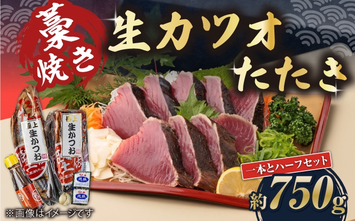 
                  藁焼き 生カツオたたき一本とハーフセット (冷蔵) 約750g 4.5人～6人前 【土佐黒潮水産】 [ATCQ004]
                