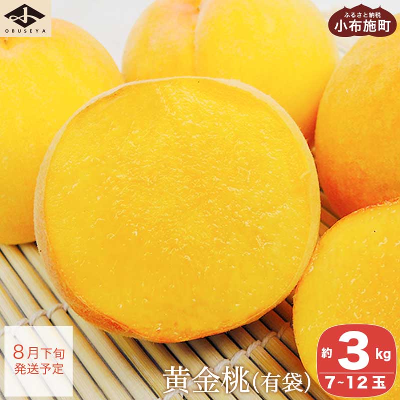 【ふるさと納税】＜先行予約＞ もも 黄金桃（有袋） 約3kg 7～12玉 ［小布施屋］ 桃 もも モモ フルーツ 果物 3kg 長野県産 信州産 クール便 冷蔵便 令和7年産【2025年8月下旬発送】