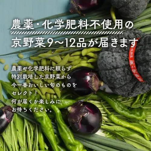 【6回定期便】＜アスカ有機農園＞旬の京野菜セットＬ 野菜
