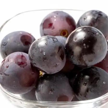 【新鮮・産直】和歌山かつらぎ町産のたねなしピオーネ約2kg(日高町)【2026年度発送分】【配送不可地域：離島・北海道・沖縄県】【1218077】